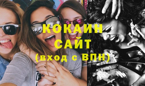 стаф Липки