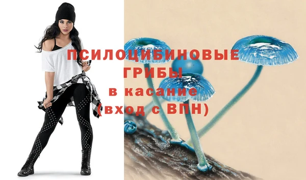 гидропоника Магас