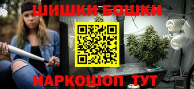 гашик Дубна