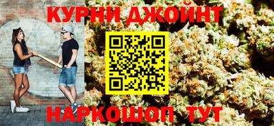 гашик Дубна