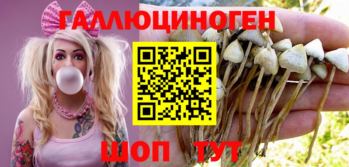 Ревда  Псилоцибиновые грибы Magic Shrooms  Вход с VPN 